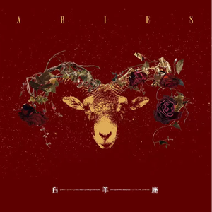 美女做爱视瓶并人犬兽人观看免费完整版美女美
