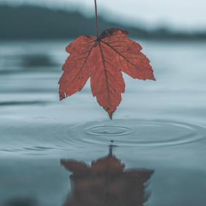 美女做爱视瓶并人犬兽人观看免费完整版美女美
