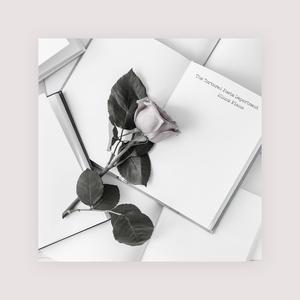 美女做爱视瓶并人犬兽人观看免费完整版美女美
